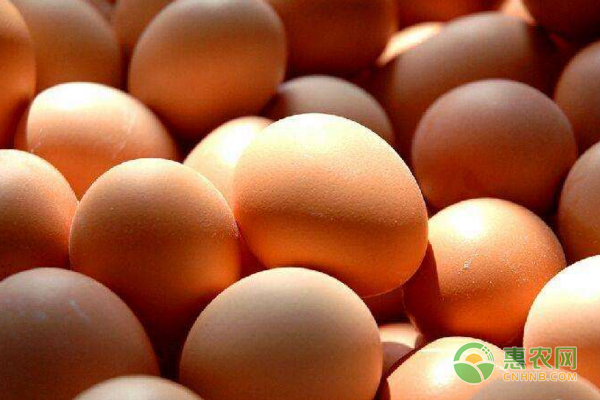 优安的觅编辑部整理:今日鸡蛋价格走势：2019年全国鸡蛋价格行情预测